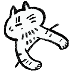 my sister's cat muffin