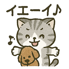 スコ姫の日常２