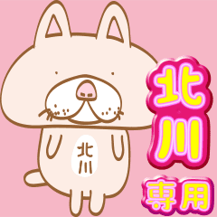 【北川】専用・顔がおっさんネコ