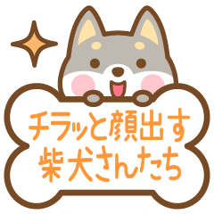 チラッと顔出す柴犬さんたちスタンプ
