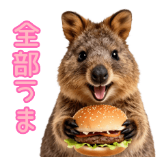 実質カロリーゼロ★幸せクォッカ