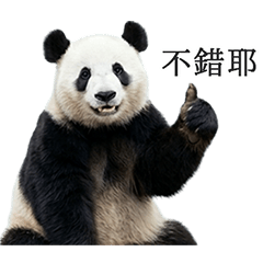 使える！パンダ（台湾華語）