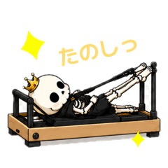 ピラティスボニーちゃん