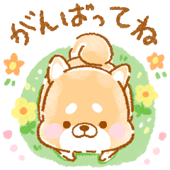 気遣い❤️いやしばいぬ❤️