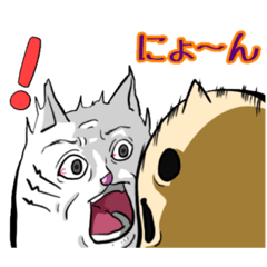 ナーゴさんと過ごすドキドキハロウィン