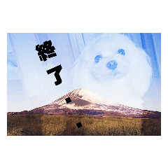 マルプーのそら