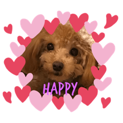 きなこちゃん♡