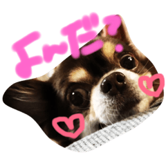 かわいい家族ですよ