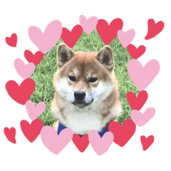 クライフ☆百面相3