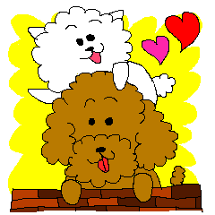 もこもこわんわんズ