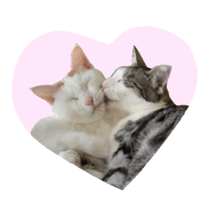 ブランとパオ、時々くろみつ