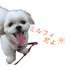 ミルフィスタンプ