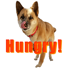 ハンサム・セナ2