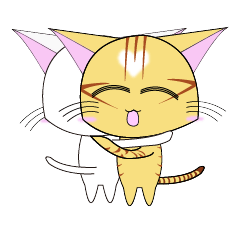 White Cat With Black Cat 2