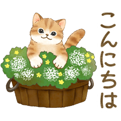 ともだち☆猫たちのスタンプ2