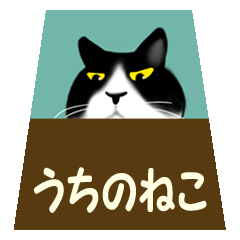 ぶちねこ　ジョージ