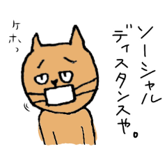 こんにちは、猫見沢さんです。