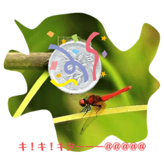 自然世界シリーズ　秋田　初夏編