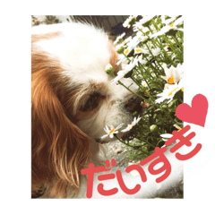 レオくんのスタンプ♪