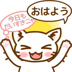 動かないようで動く！好きをかくせないネコ