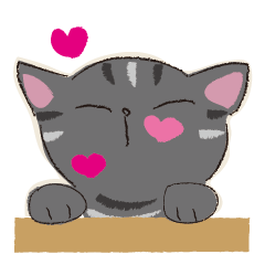 The D version of the BUSAKAWA cat.