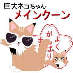大きな猫ちゃんメインクーン★