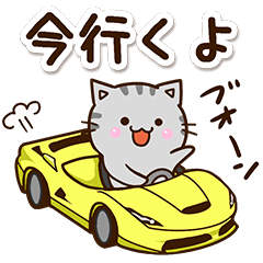 おちゃめなアメショ【待ち合わせ】