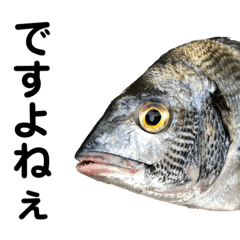 ひびき水産　スタンプ2(敬語編)