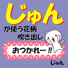 超★じゅん(ジュン)なネコ