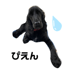 オレオズスタンプ