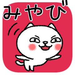 みやびちゃんねこ