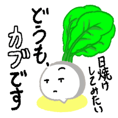 どうも、カブです