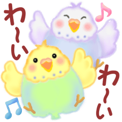 毎日使える仲良しインコさん