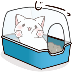 だいすきネコちゃん5