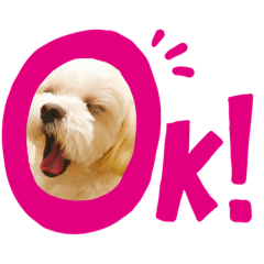 Chelsea_20210501151820