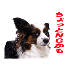 パピヨンの兄弟チャオスとリオスのスタンプ