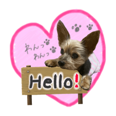 はなちゃん2U^ェ^U