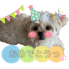 きなこだよっ③