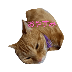 マロ＆ミルのスタンプ