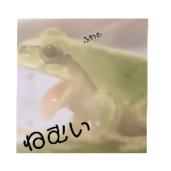 【ぴょんちゃん】カエルのスタンプ【挨拶】