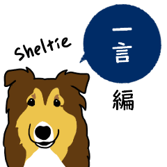 大好き！シェルティ　一言編