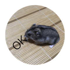 ハムスタースタンプだよ！