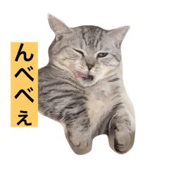 もちのスタンプ^_^だぢ