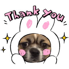 わんこスタンプ☆NALU