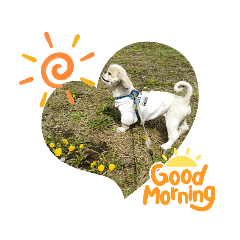 春の気持ちver.3