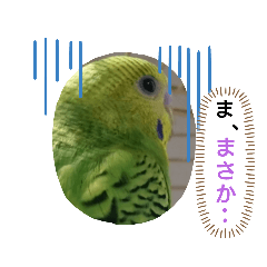 使えるインコちゃんスタンプ そらとリーフ2