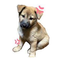 ちゃーぼう（1）