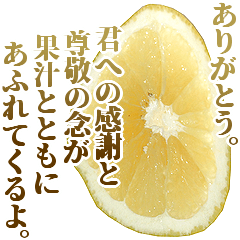 全てを肯定するグレープフルーツ