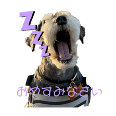 見た目はジジイのジジver.1