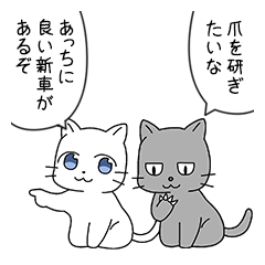 容赦のないネコ